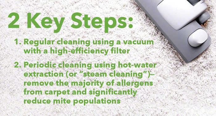 2 key steps to carpet care