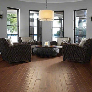 living room with hardwood floor