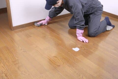 Professional Hardwood Floor Cleaning